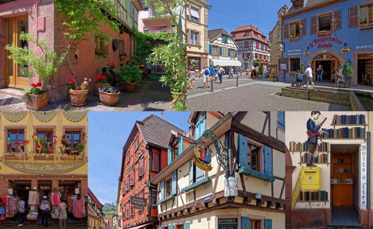 Le Studio Stanislas Colmar Exterior foto